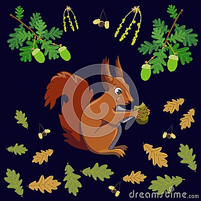 Squirrel eating Vector Illustration