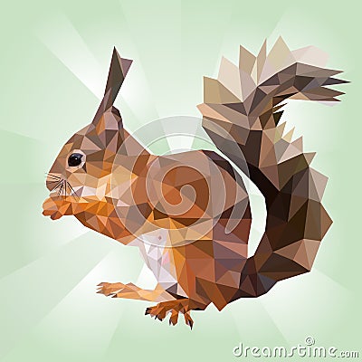 Squirrel eating nut Cartoon Illustration
