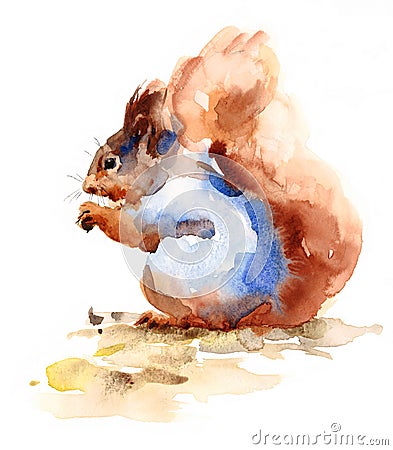 Squirrel Eating Nuts Wild Animal Winter Illustration Hand Painted Stock Photo