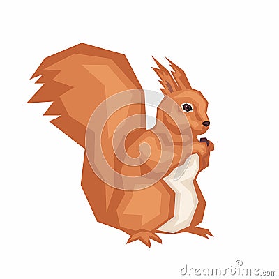 Squirrel gnaws nut Vector Illustration