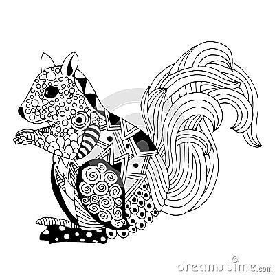 Squirrel illustration Vector Illustration