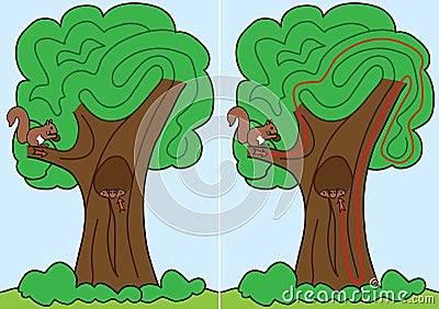 Squirrel maze Vector Illustration