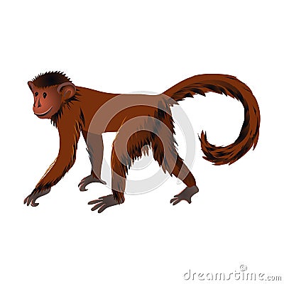 Squirrel monkey jungle animal mammal go to eating banana Vector Illustration