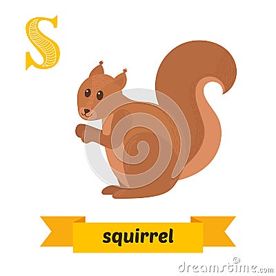 Squirrel. S letter. Cute children animal alphabet in vector. Fun Vector Illustration