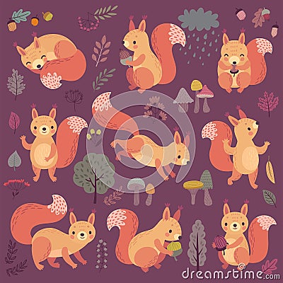 Squirrel set hand drawn style Vector Illustration