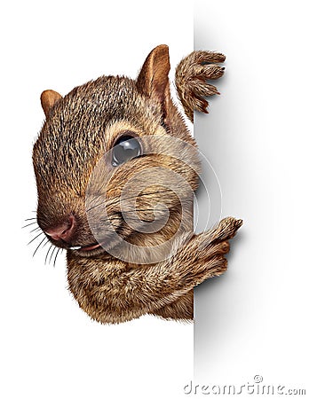 Squirrel Sign Stock Photo