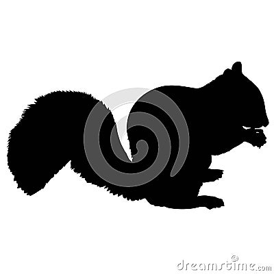 Squirrel Silhouette Vector Illustration