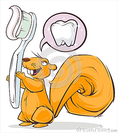 Squirrel and toothbrush Vector Illustration