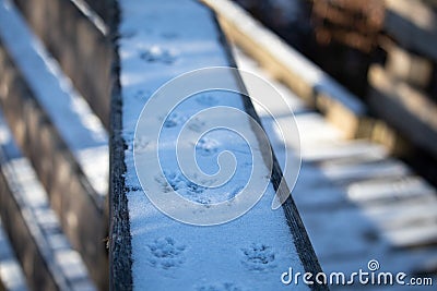 Squirrel Tracks in Snow on a Wooden Railing Stock Photo