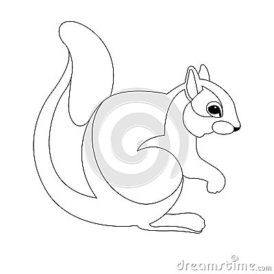 Squirrel vector illustration line drawing Vector Illustration