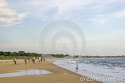 Golden Beach at Yala National Park Editorial Stock Photo