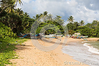 Sri Lanka paradise beach with white sand, Palm trees and a scenic sunset Editorial Stock Photo