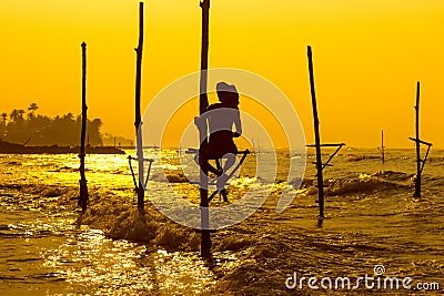 Sri Lanka`s traditional Fisherman on sunset. Fishing on silt is Editorial Stock Photo
