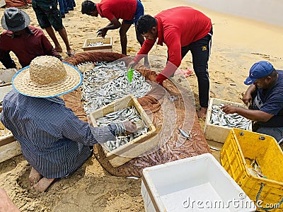 Srilanka beach catching fish Editorial Stock Photo