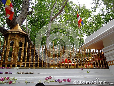 Srimaha bodhiya - anuradhapura - sri lanka Stock Photo