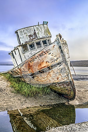 SS Point Reyes Shipwreck - Inverness, California Editorial Stock Photo