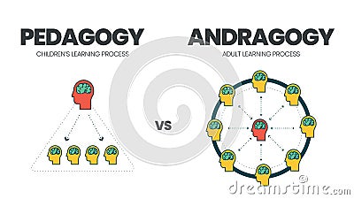 The vector illustration of comparison between pedagogy or child learning and andragogy or adult education. The infographic is diff Vector Illustration