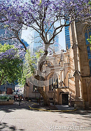 St. Andrew`s Cathedral and Jacaranda Tree Editorial Stock Photo