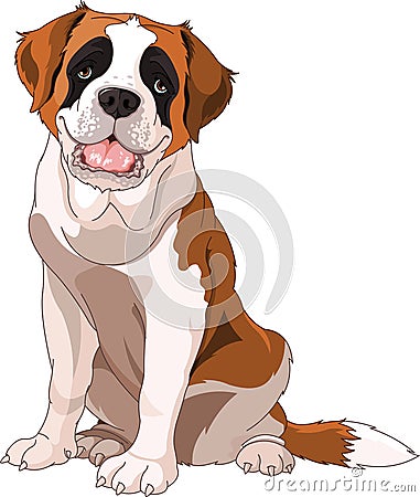 St. Bernard Dog Vector Illustration