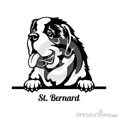 St. Bernard Peeking Dog - head isolated on white Vector Illustration