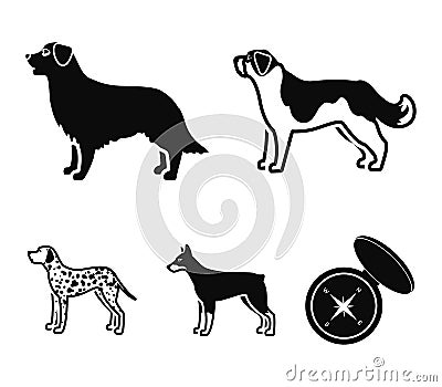 St. Bernard, retriever,doberman, labrador. Dog breeds set collection icons in black style vector symbol stock Vector Illustration