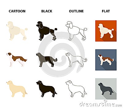 St. Bernard, retriever,doberman, labrador. Dog breeds set collection icons in cartoon,black,outline,flat style vector Vector Illustration