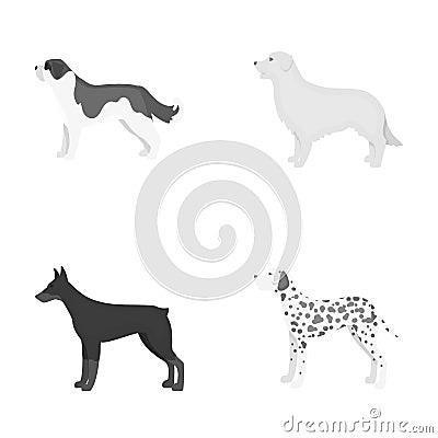 St. Bernard, retriever,doberman, labrador. Dog breeds set collection icons in monochrome style vector symbol stock Vector Illustration