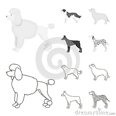 St. Bernard, retriever,doberman, labrador. Dog breeds set collection icons in outline,monochrome style vector symbol Vector Illustration