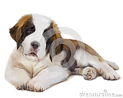 St. Bernard`s dog is down. Watercolor painting Stock Photo