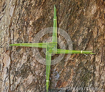 A St. Brigid's Cross, made from fresh green rushes, with a tree bark background. Stock Photo