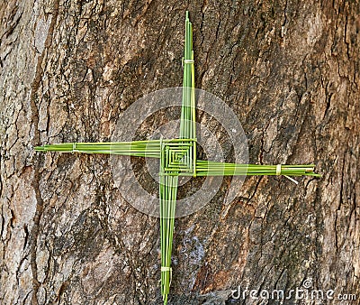 A St. Brigid's Cross, made from fresh green rushes, with a tree bark background. Stock Photo