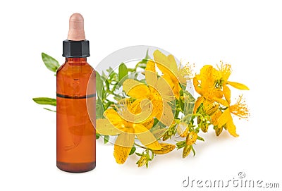 St. John's wort flowers with essence bottle Stock Photo