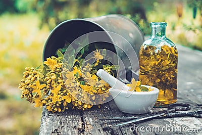 St Johns wort flowers, oil or infusion bottle, mortar and big vintage metal mug of Hypericum plants on wooden board. Stock Photo