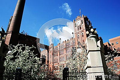 St Louis Budweiser Plant Stock Photo