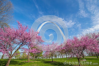 St. Louis Gateway Arch Stock Photo