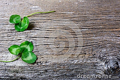 St. Patrick day greeting card with holidays symbol clover Stock Photo