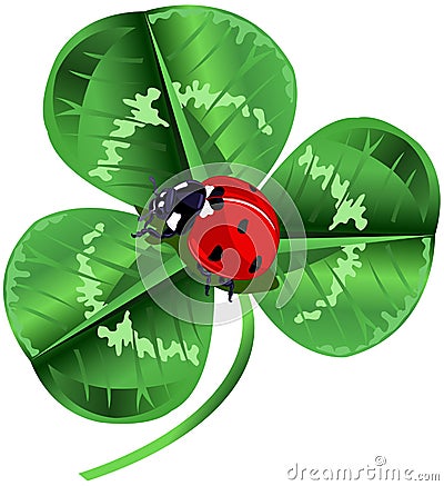 St. Patrick Day Three Leafed Clover and ladybug Vector Illustration