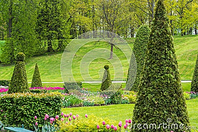 St. Petersburg, Russia - June 3 2017. Flower parterre in front of large cascade fountain Editorial Stock Photo