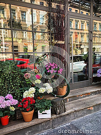 St. Petersburg, Russia - May 1, 2020,.Beautiful, bright flower shop window, door and windows with many flowers Editorial Stock Photo