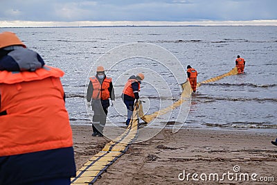 Employees of the environmental service clean up after low tide on the coast Gulf of Finland remove garbage, oil spills, harmful Editorial Stock Photo