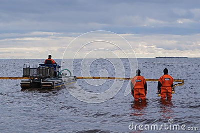 Employees of the environmental service clean up after low tide on the coast Gulf of Finland remove garbage, oil spills, harmful Editorial Stock Photo