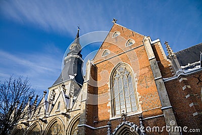 St. Quentin's Cathedral, Hasselt Stock Photo