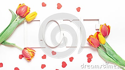 Valentine or Mother`s Day. Beautiful tulips, pink ribbon on light background. Day of birth. Greeting card Stock Photo