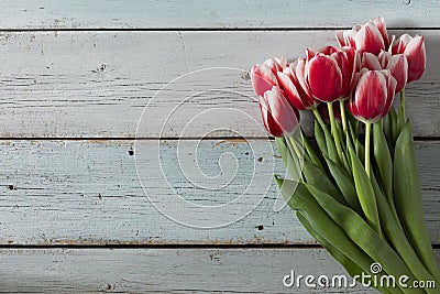 St. Valentine, Mother`s Day, tulips, tulip bulbs, flowers, gifts, flowers, tulip flowers, heart symbol, wooden Stock Photo