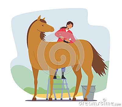 Stableman Woman Character Care of Purebred Horse Cleaning and Brushing Skin and Hair with Brush or Comb before Contest Vector Illustration