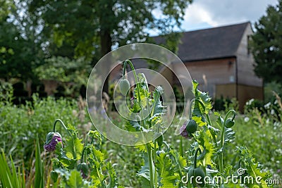 Stables at Eastcote House Gardens, next to the historic walled garden in Eastcote, Pinner, UK. Stock Photo