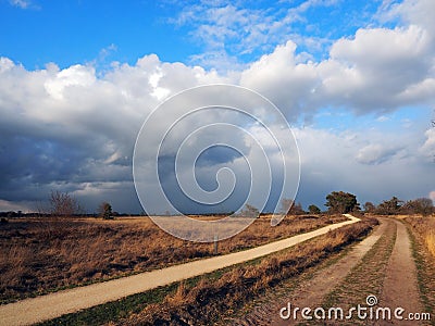 Stabrechtse heide in Heeze, Netherlands Stock Photo