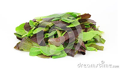 Stack of Baby Romaine Lettuce Stock Photo