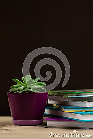 Stack of books on a table and a pot with a succulent plant. Copyspace. Home schooling and reading enjoyment concept Stock Photo