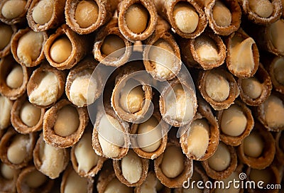 A stack of canoli Stock Photo